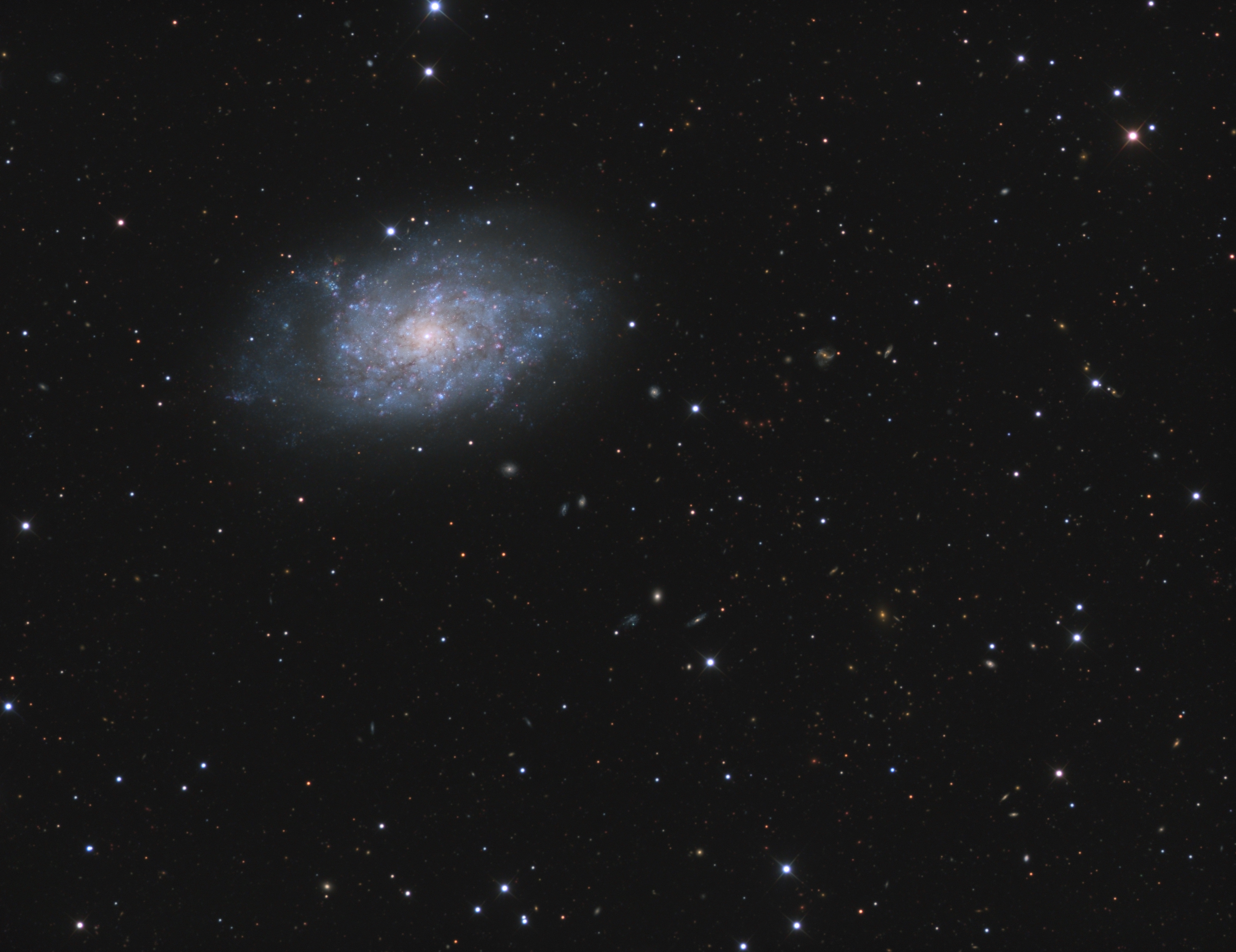NGC7793.jpg